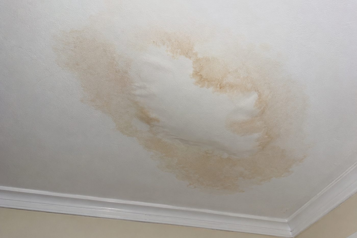 Water-stained plasterboard ceiling in a Hull home