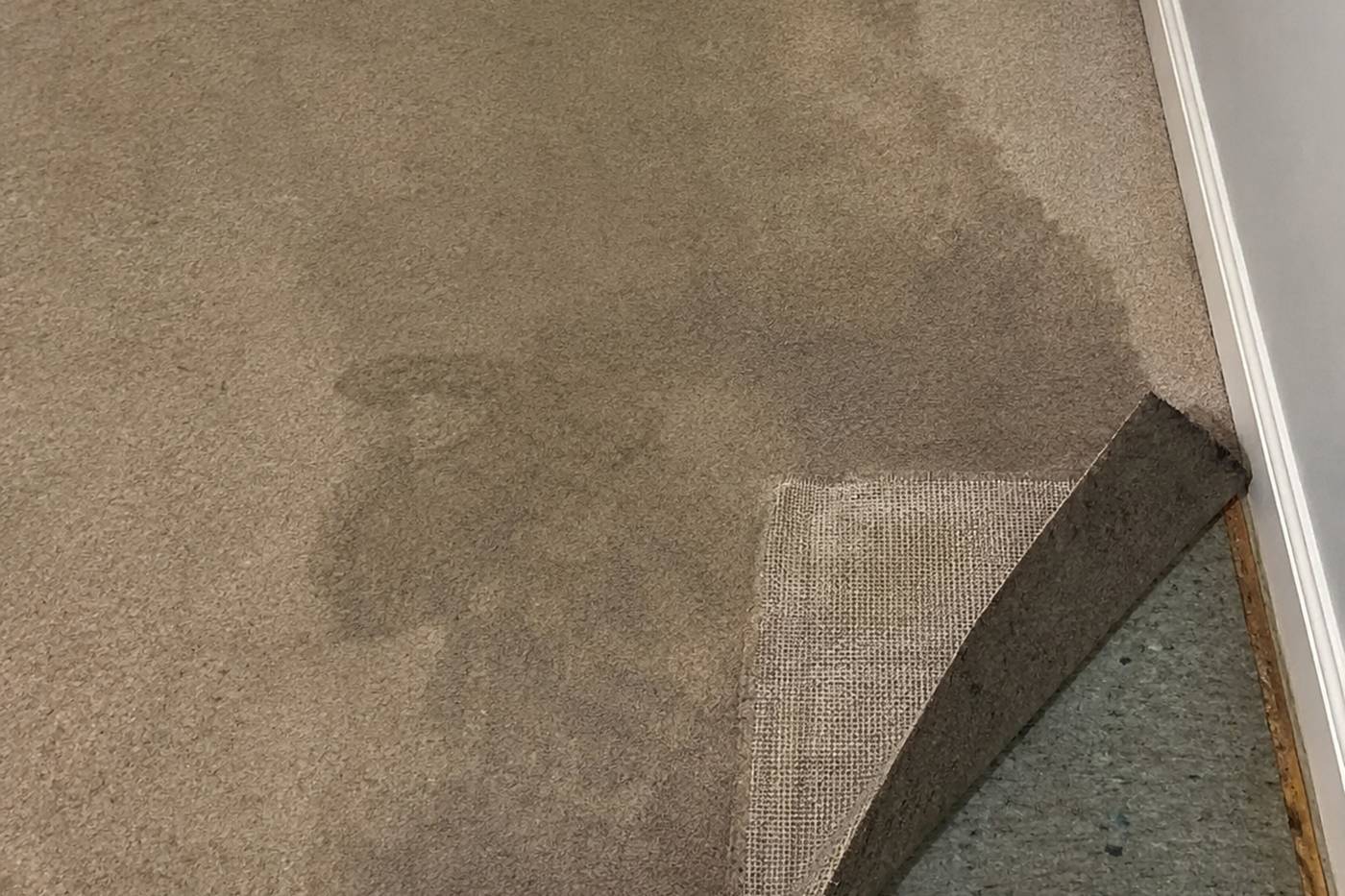 Wet carpet being dried in a Hull home